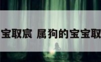 属狗的宝宝取宸 属狗的宝宝取宸字好吗