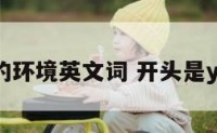 y开头的环境英文词 开头是y的英语