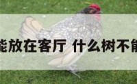 什么树不能放在客厅 什么树不能栽在家里