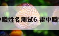 霍中曦姓名测试6 霍中曦读音