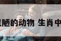 12生肖最丑陋的动物 生肖中最丑的动物