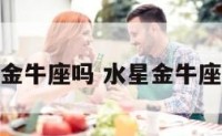水星金牛算金牛座吗 水星金牛座是什么意思