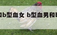 b型血男和b型血女 b型血男和b型血女好吗