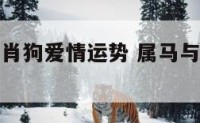 生肖马和生肖狗爱情运势 属马与狗的相结合怎么样