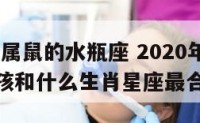 2020年属鼠的水瓶座 2020年属鼠水瓶座男孩和什么生肖星座最合得来