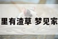 梦见客厅里有渣草 梦见家里有草堆