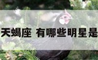 什么女明星天蝎座 有哪些明星是天蝎座女的