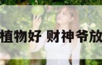 财神爷放什么植物好 财神爷放什么植物好呢