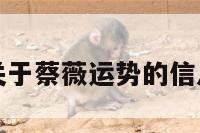 关于蔡薇运势的信息