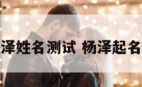 杨泽姓名测试 杨泽起名字