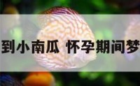 孕妇梦到小南瓜 怀孕期间梦见南瓜