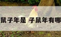 属鼠子年是 子鼠年有哪些