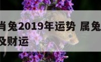 女命生肖兔2019年运势 属兔人2019年运势及财运