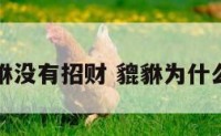 为什么貔貅没有招财 貔貅为什么没有克数