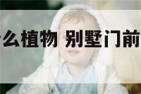 别墅门前栽什么植物 别墅门前适合栽什么植物