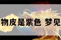 梦见动物皮是紫色 梦见动物皮