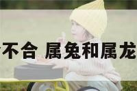 属兔属龙相合不合 属兔和属龙的合不合婚姻