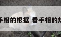 看手相的根据 看手相的规矩
