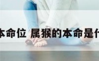 属猴本命位 属猴的本命是什么佛