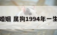 属狗一生婚姻 属狗1994年一生婚姻状况