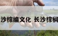 长沙棕编文化 长沙棕榈树