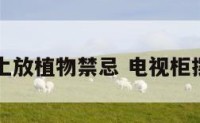 电视柜上放植物禁忌 电视柜摆放植物