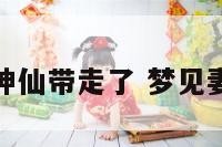 梦见妻子被神仙带走了 梦见妻子被人追赶