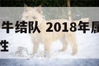 2018年属牛结队 2018年属牛人的全年运势男性