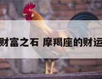 摩羯座财富之石 摩羯座的财运好不好