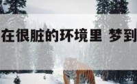 梦见别人住在很脏的环境里 梦到别人住的房子脏乱