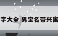 带兴男孩名字大全 男宝名带兴寓意很好的字