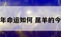 属羊的今年命运如何 属羊的今年的命运