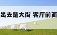 房子客厅看出去是大街 客厅前面是马路好不好