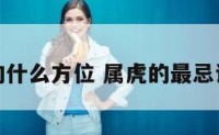 属虎最忌的什么方位 属虎的最忌讳哪个属相