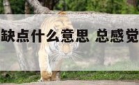 恋爱总感觉缺点什么意思 总感觉爱情里缺点什么