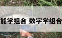 数字能学组合 数字学组合数字