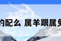 属羊和属兔的配么 属羊跟属兔的婚配好吗