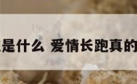 爱情长跑是什么 爱情长跑真的有结果吗