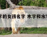 木字和水字的女孩名字 木字和水字的女孩名字有哪些