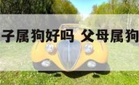 父母属鼠孩子属狗好吗 父母属狗鼠孩子属什么最好