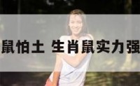 十二生肖鼠怕土 生肖鼠实力强不怕阴谋