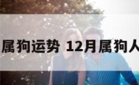 12月属狗运势 12月属狗人运势