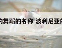 波利尼亚的舞蹈的名称 波利尼亚的舞蹈的名称是什么
