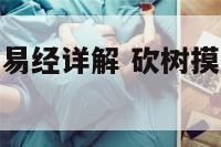 砍树摸雀事业易经详解 砍树摸雀是好卦还坏卦