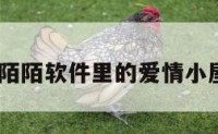 陌陌爱情 陌陌软件里的爱情小屋怎么回事