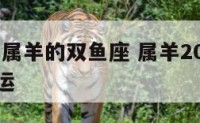2003年属羊的双鱼座 属羊2003年出生的命运