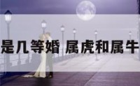 属虎和属牛是几等婚 属虎和属牛结婚好不好