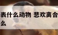 悲欢离合代表什么动物 悲欢离合打一动物最佳答案是什么
