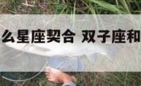 双子座和什么星座契合 双子座和什么星座最合得来