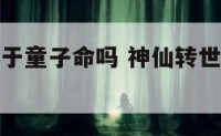 神仙转世属于童子命吗 神仙转世命运会很差吗